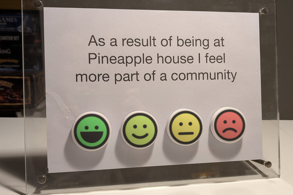 A cost-effective feedback solution for charities- all in 24 hours